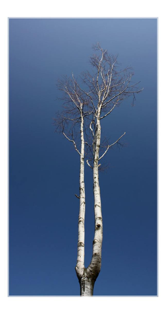 Ako si ja rastiem :)