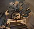 Detail 4