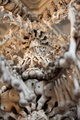 Detail lustra 6