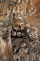 Detail lustra 3