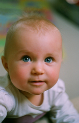 Farebny portret
