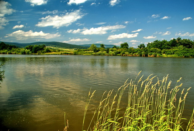 Rybník nad Grinavou-Pezinok