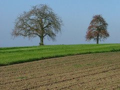 Svajciarska priroda