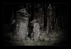 Abandoned cemetery