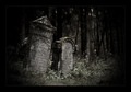 Abandoned cemetery
