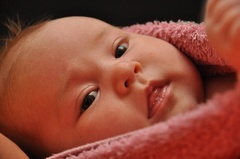 Lilly