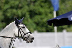 Grand PRIX CSIO***