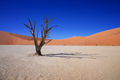 Deadvlei