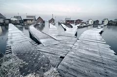 Chobotnica nad hladinou...