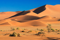 Namib desert