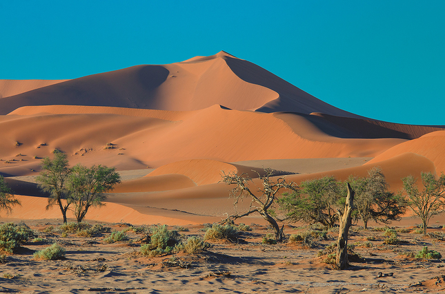 Namib desert