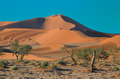 Namib desert