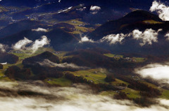 Alpské lúky