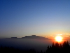 orava summer
