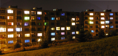 Farby betonuvej dzungle