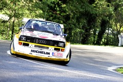 Audi Quattro S1