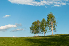 Jarná