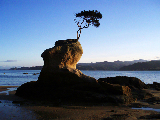 Abel Tasman