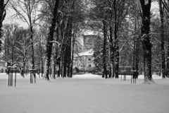 Zima v Budatínskej záhrade.