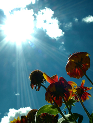 ...the sun is up, the sky is blu