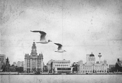 liverpool