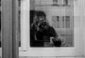 autoportret
