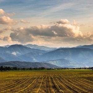 Liptovské riadkovanie