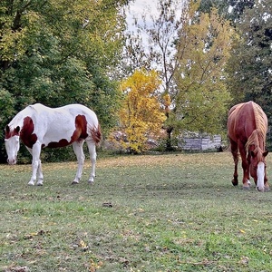 1 + 3
