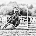 Rodeo