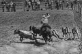 Rodeo Muráň