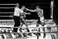 Kick box