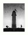 Pigeons and girl