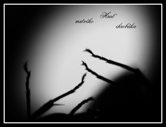 Hrať mŕtveho chrobáka...