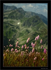 Tatry (trochu inak).