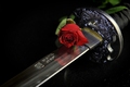 Ruža a meč