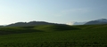 green landscape