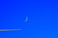 ,,flight,,