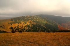 VeľkoFatranská šachovnica