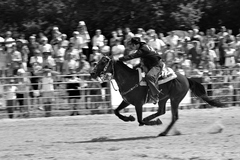 rodeo