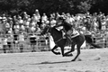 rodeo