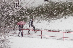 zima na nevzdáva ... 2.4.2015