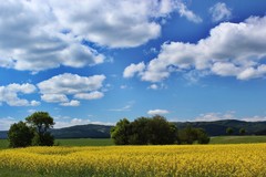 Niekde okolo Turca II.