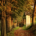 Kalvária