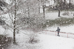 2.4.2015