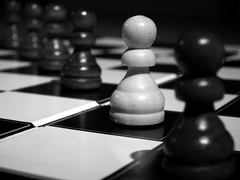 biela medzi čiernymi