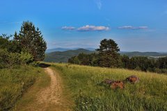 Cestou na Suchý vrch