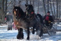 furmanská (69)