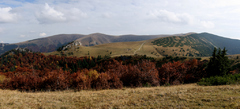 krížna