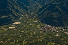 Tarres