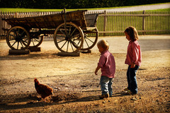 Cakanie na zlate vajce!?